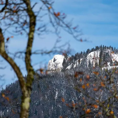 Wolfgangsee - Panorama Blick, Parkplatz, Balkon Lejlighed Strobl