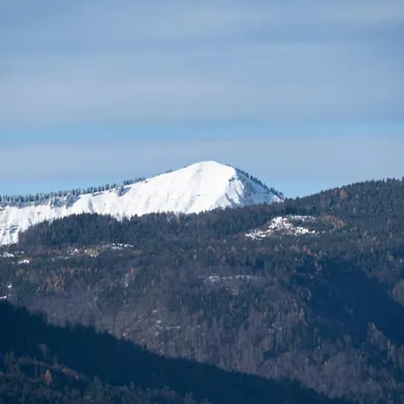 Lejlighed Wolfgangsee - Panorama Blick, Parkplatz, Balkon *