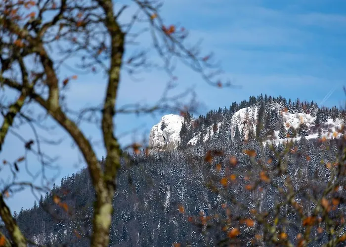 Wolfgangsee - Panorama Blick, Parkplatz, Balkon Apartment Strobl