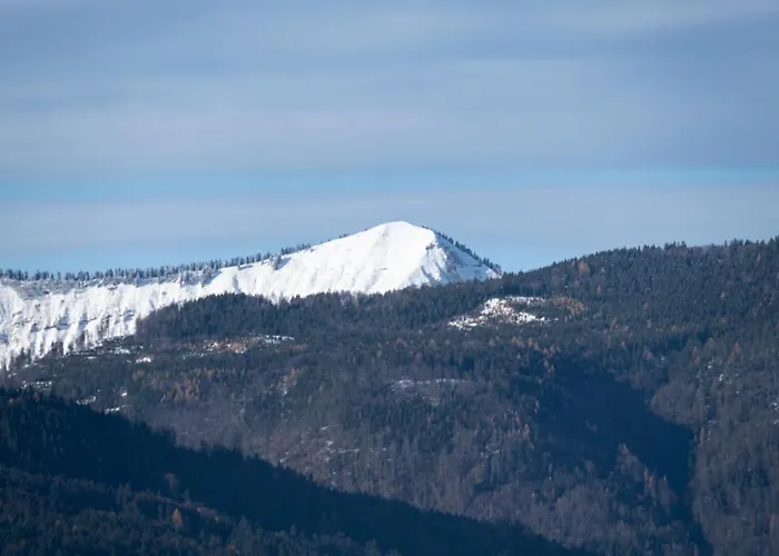 Apartamento Wolfgangsee - Panorama Blick, Parkplatz, Balkon *